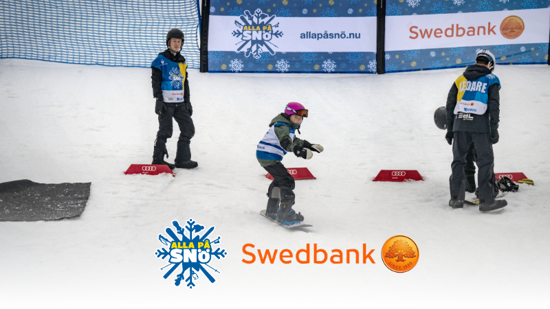 En bild