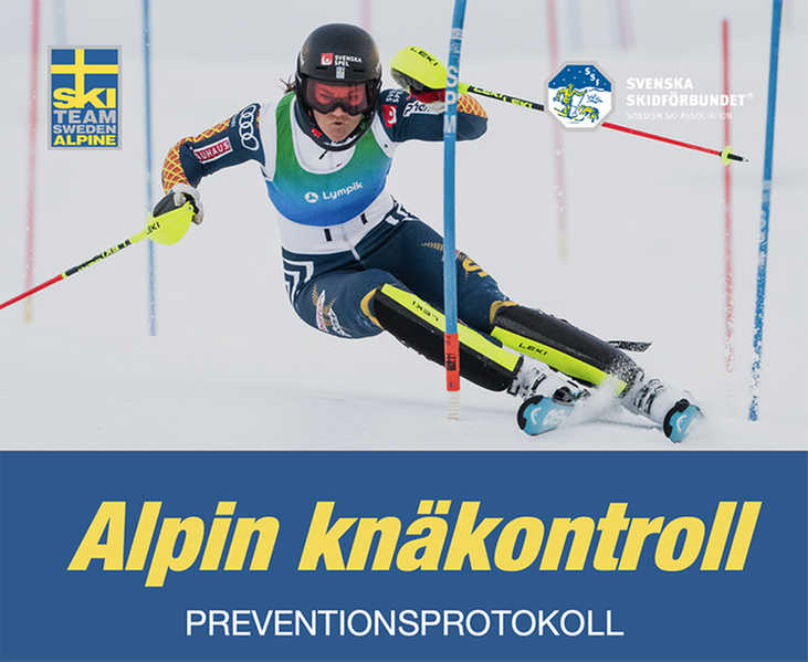 En bild